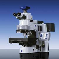Microscope ZEISS Axio Imager Z2 MEIOSE n°14                                   