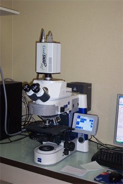  microscope ZEISS Axioimager droit