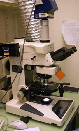 microscope nikon